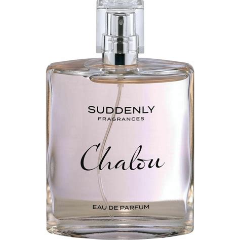 suddenly chalou perfume|lidl suddenly fragrance review.